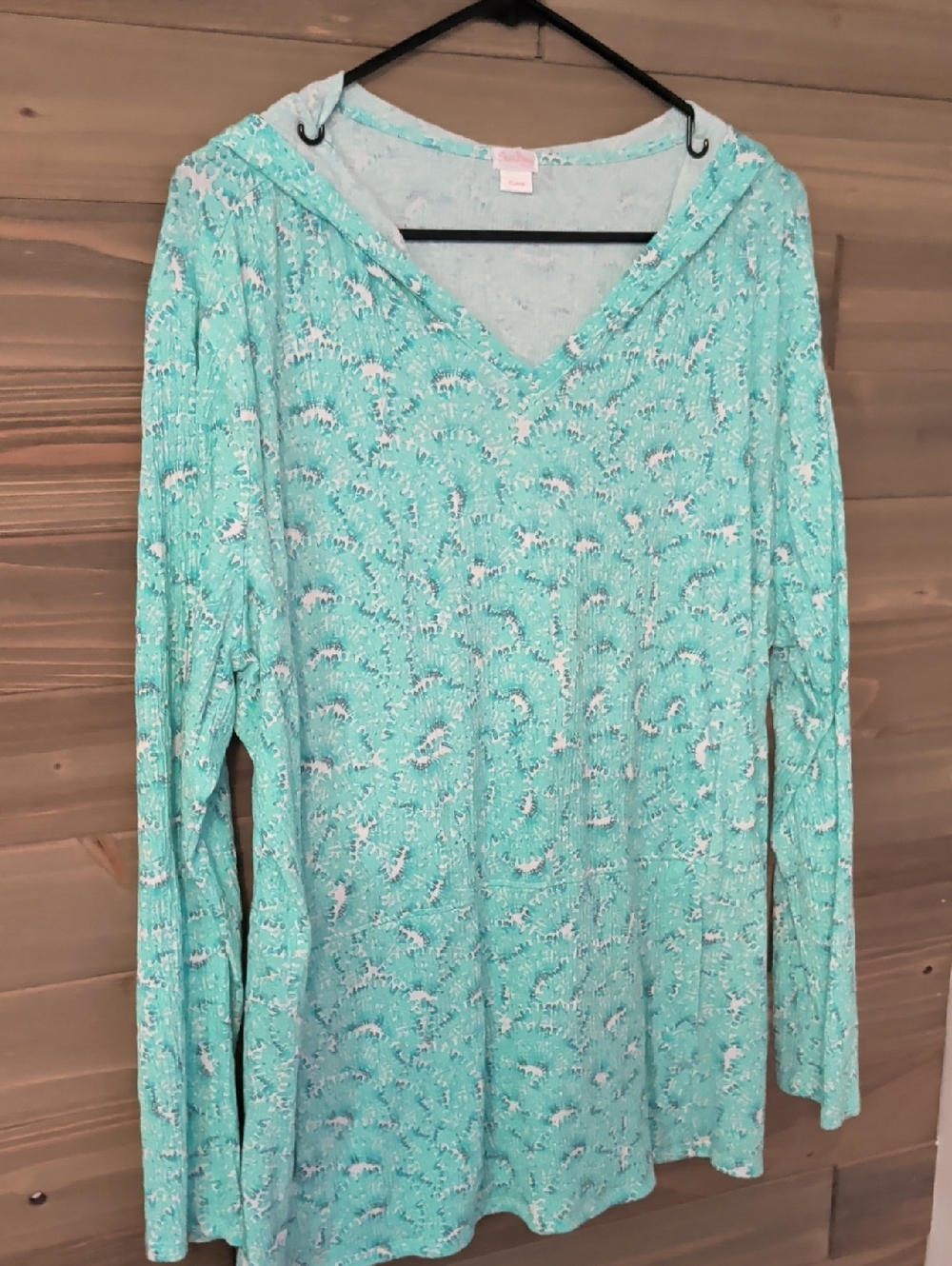 Light Teal V-Neck Hoodie Top